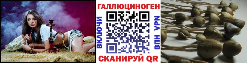 Купить  Ардатов  Галлюциногенные грибы прущие грибы 